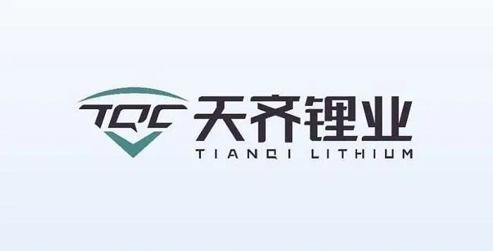 �����ҵ�⾻��Լ58.29�ڸ�Ԫ�������ڶ�����﮿��ʲ�������