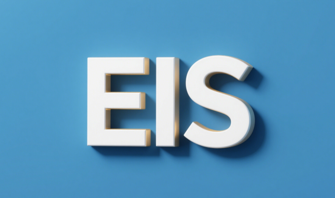 绯ѧ迹 (EIS) ʲôʲôã