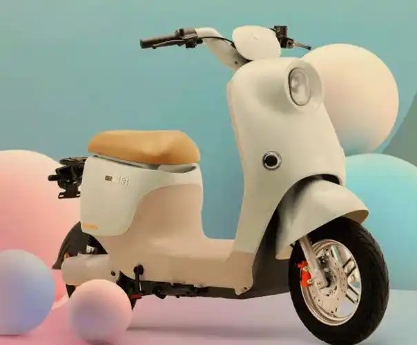 ����Դ������ػ��պ������ڵ綯���г��������ŷ�����ȷ��ֹ