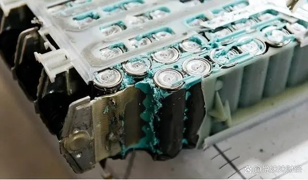 �������� | ������ҵ��ѩ�����ӿ�������﮻�����ϵ���裬�����۵�ر��Ϊ��