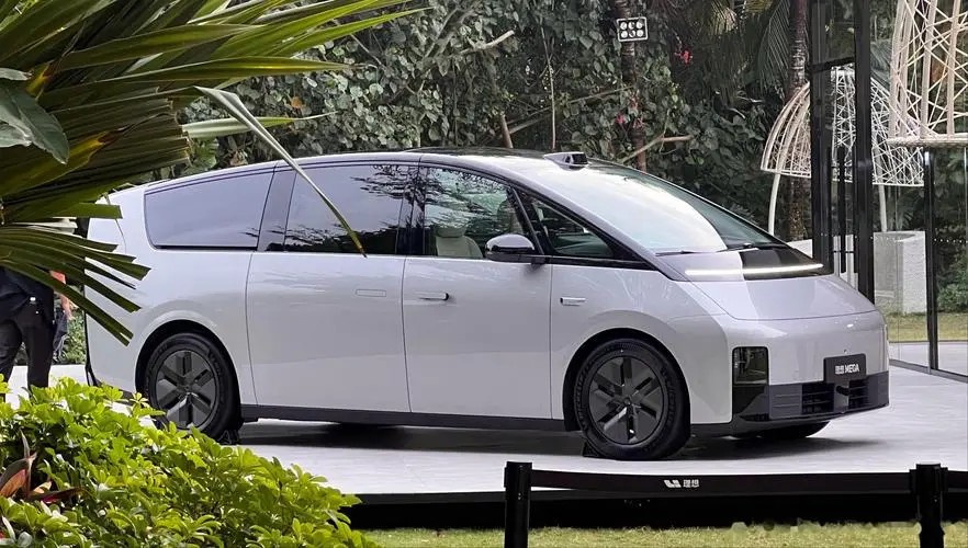 ��������������MEGA����ٻ�������ѳ���97.5%