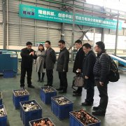 <b>格林美：新能源全生命周期价值链初步成型，积极构建“1+N”废旧电池回收利用网络</b>