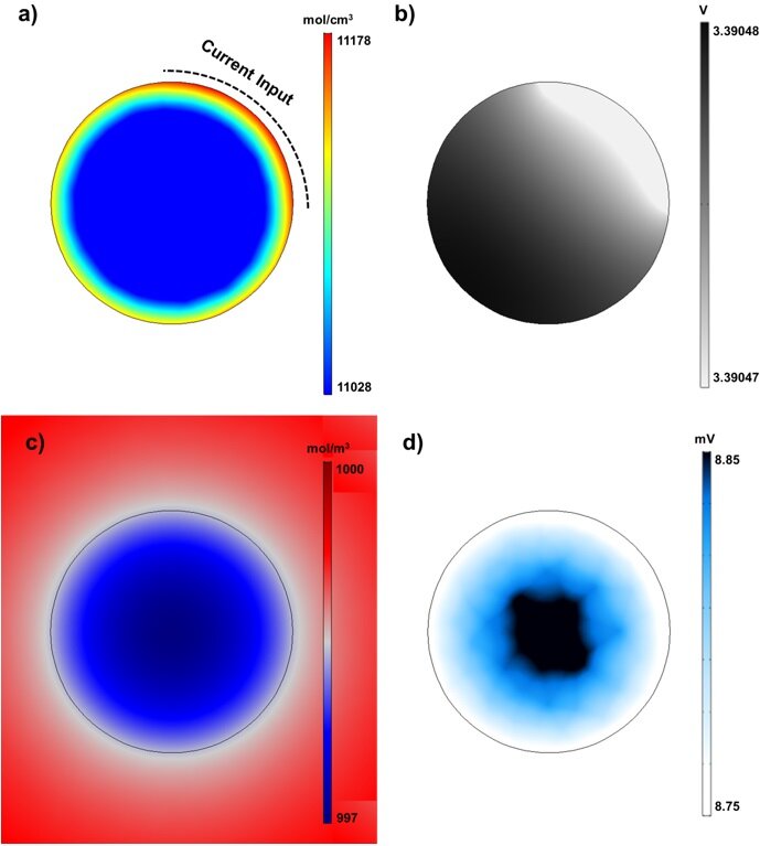 綯ڿƼǰհأ챱ѧѧ,ص缫Բϵ,缫Բϵ3D۲ģ,Ч3D۲⣬¼